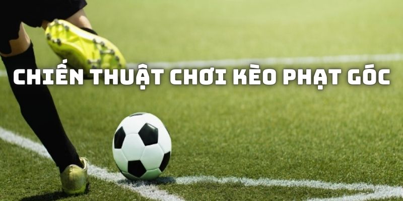 Chia sẻ chiến thuật cá cược quả Connors đầu tiên hiệu quả