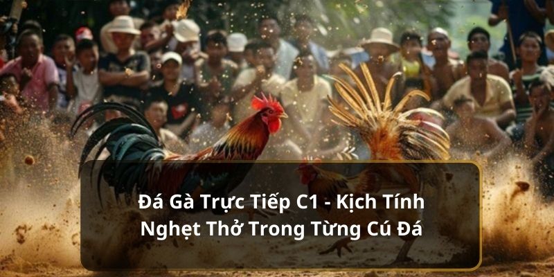 da-ga-truc-tiep-c1-avt