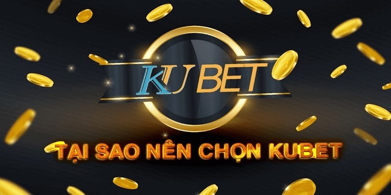 Lý do nên lựa chọn thương hiệu cá cược Kubet