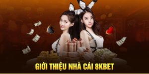 Tìm hiểu thông quan thông tin về nhà cái 8KBET