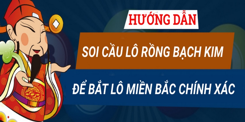 thong-tin-soi-cau-bach-kim-la-gi